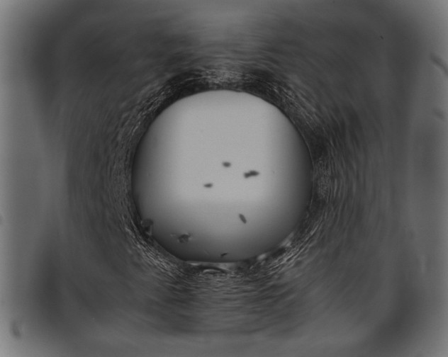 X0000097821345200803281112