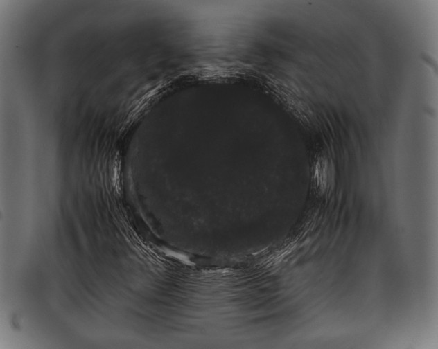 X0000097821348200803281112