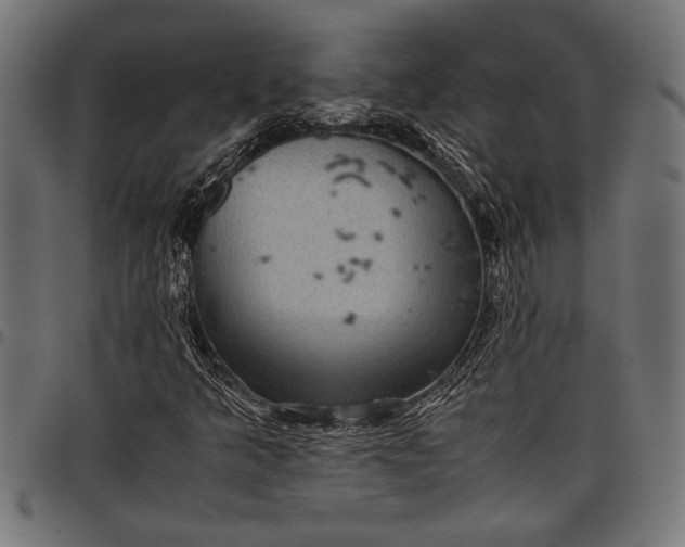 X0000097821349200803281112