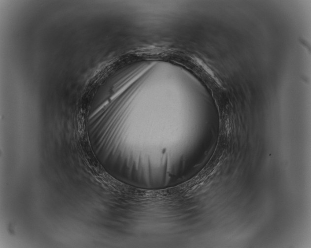 X0000097821350200803281112