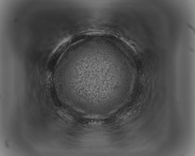 X0000097821351200803281112