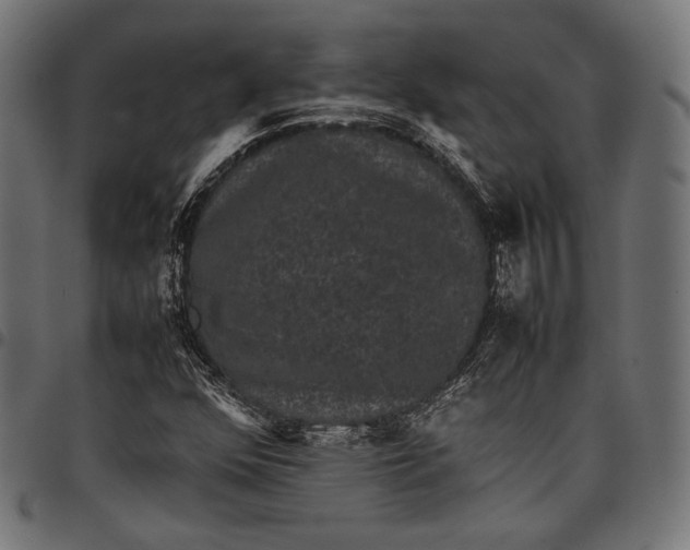 X0000097821352200803281112