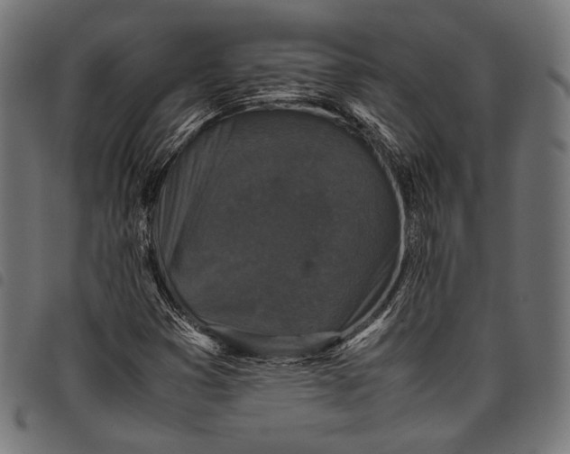 X0000097821353200803281112