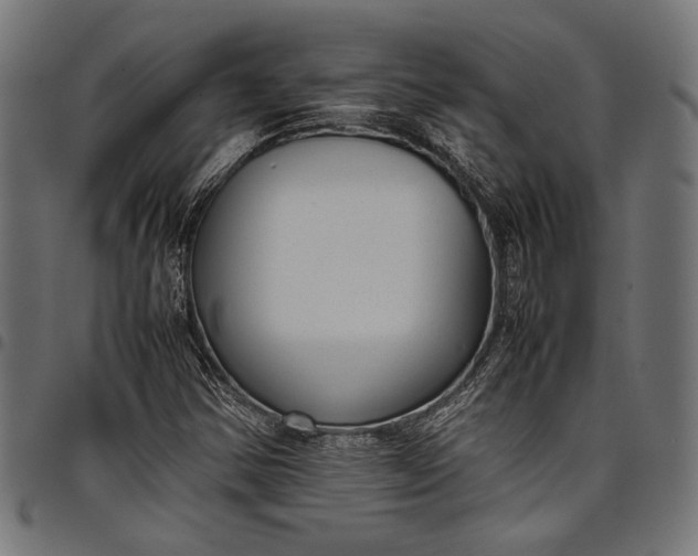 X0000097821354200803281112