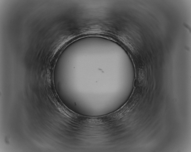 X0000097821356200803281112