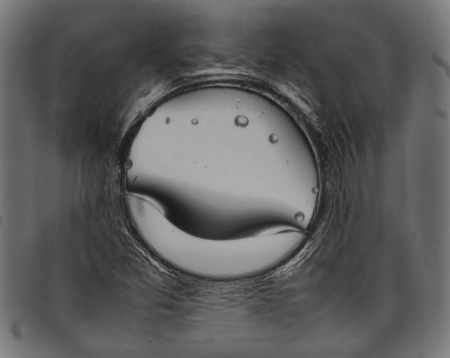 X0000097821357200803281112