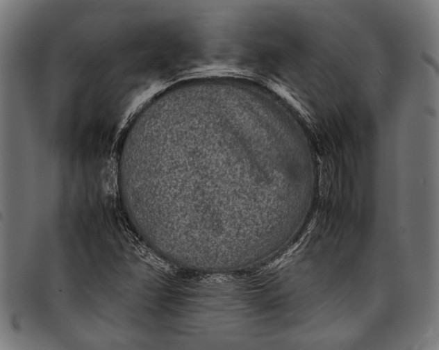 X0000097821358200803281112