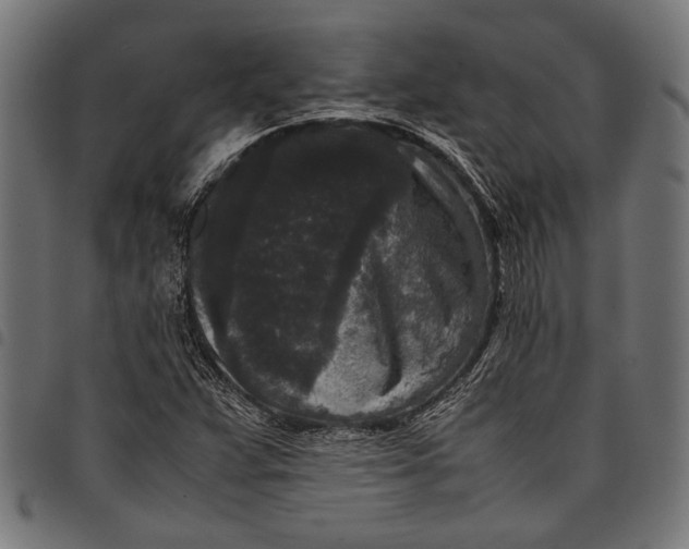 X0000097821359200803281112