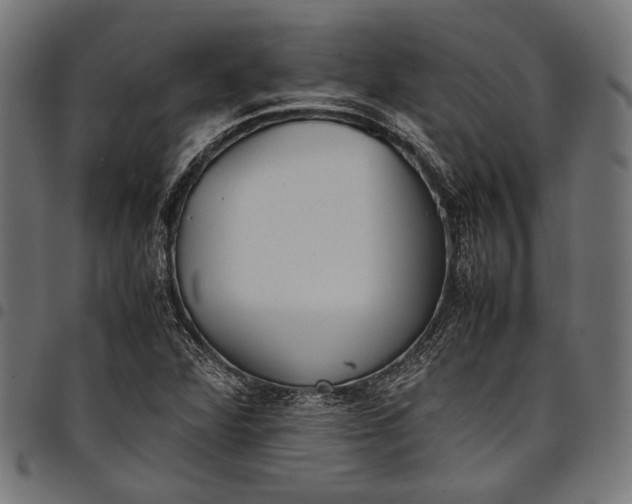 X0000097821360200803281112