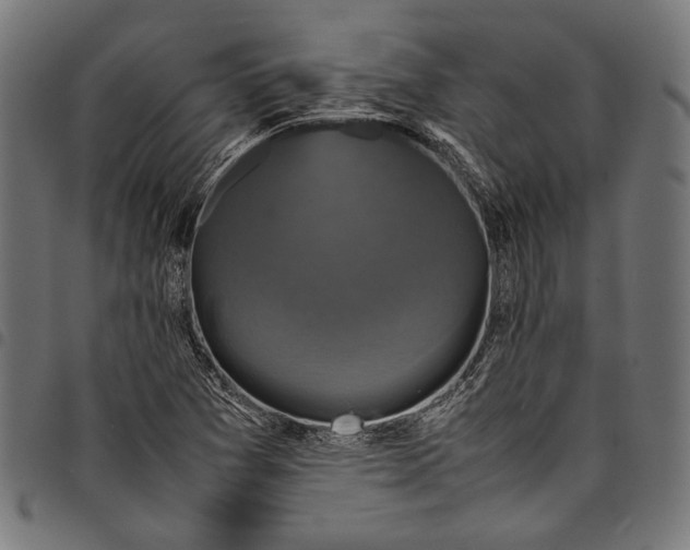 X0000097821361200803281112