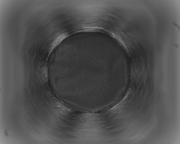 X0000097821362200803281112