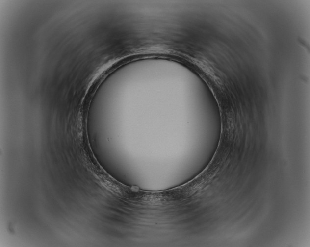 X0000097821364200803281112