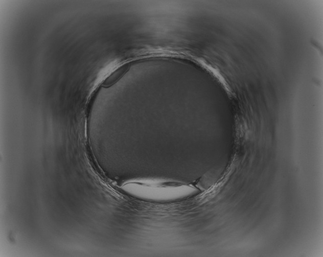 X0000097821365200803281112