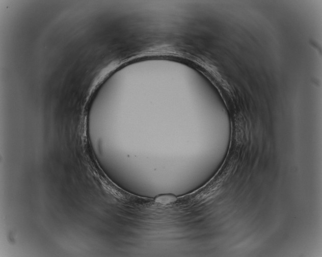 X0000097821366200803281112