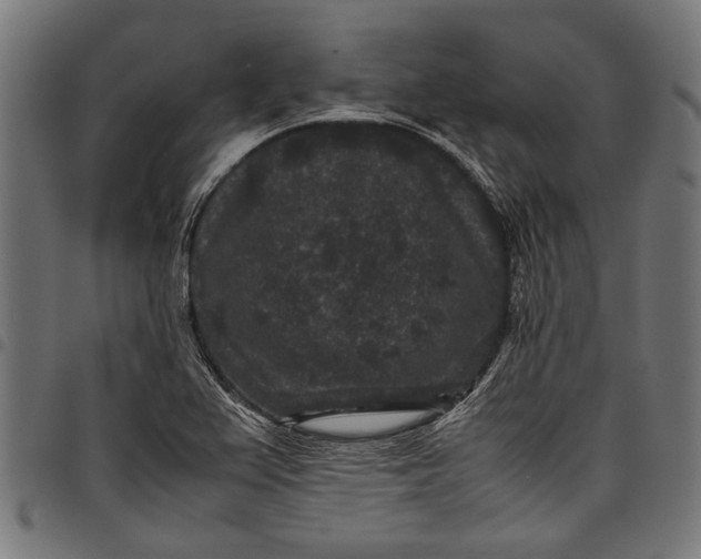 X0000097821367200803281112