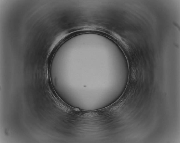 X0000097821368200803281112