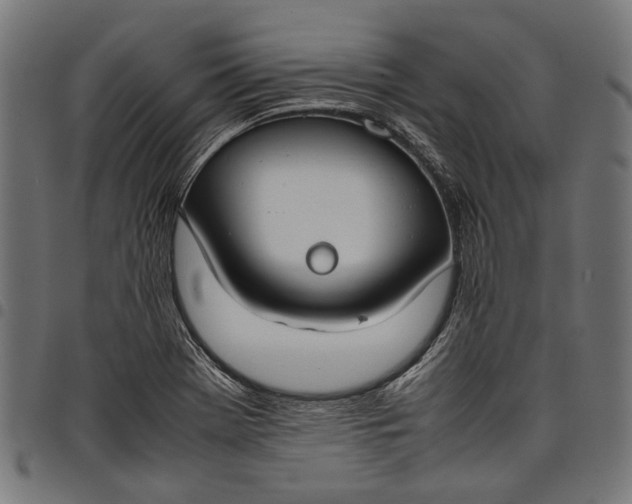 X0000097821369200803281112