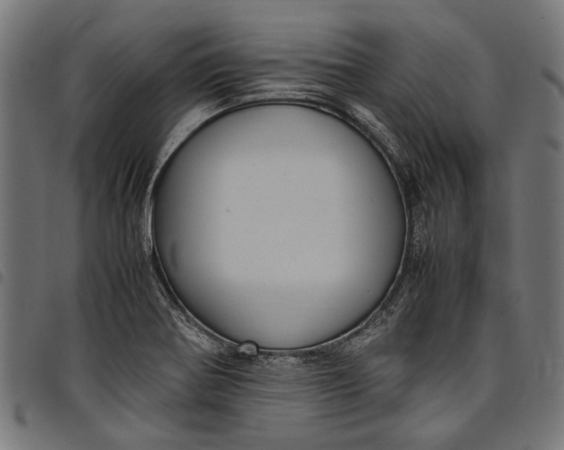 X0000097821370200803281112