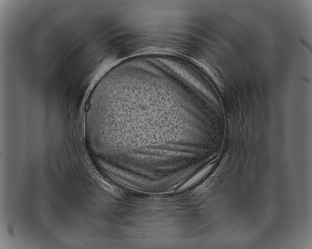 X0000097821371200803281112