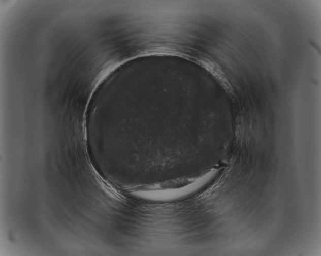 X0000097821372200803281112