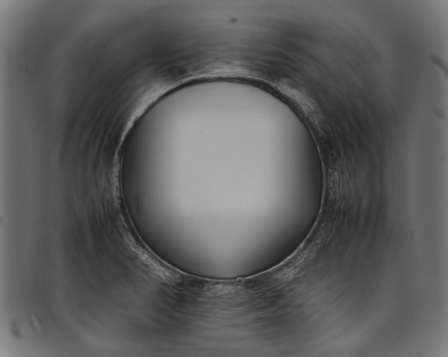 X0000097821374200803281112