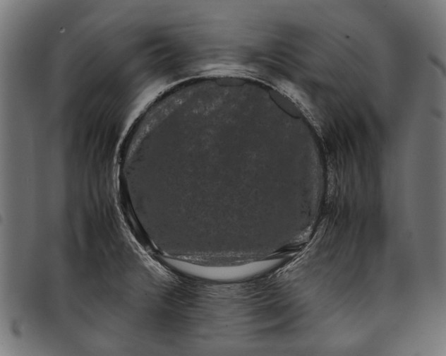 X0000097821376200803281111