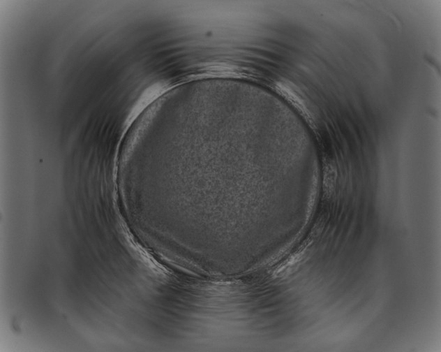 X0000097821378200803281111