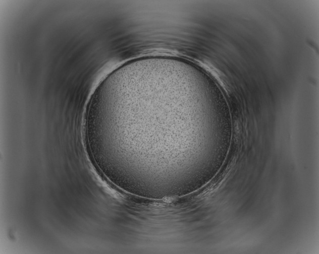 X0000097821379200803281111