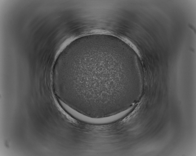 X0000097821381200803281111