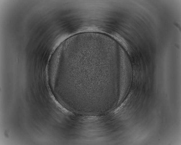 X0000097821382200803281111