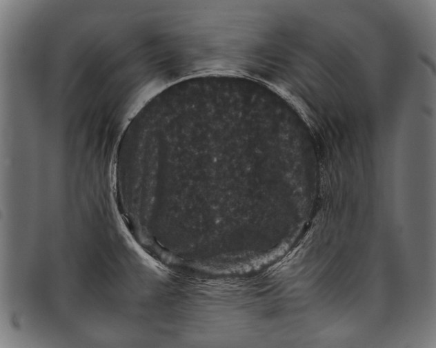 X0000097821383200803281111