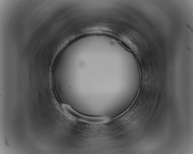 X0000097821384200803281111