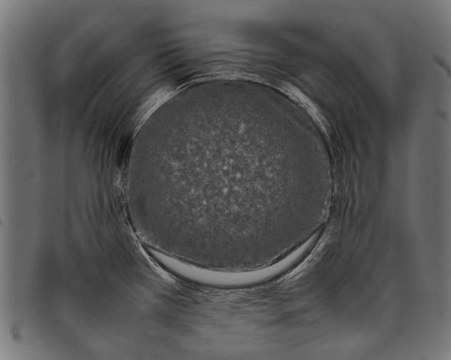 X0000097821385200803281111