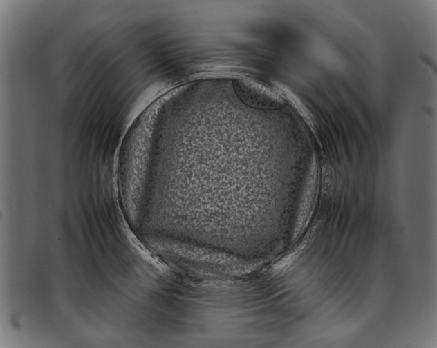 X0000097821386200803281111