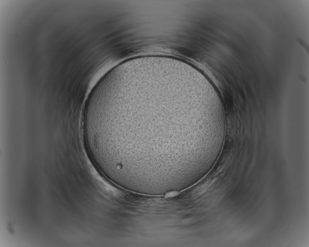 X0000097821387200803281111