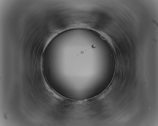 X0000097821390200803281111