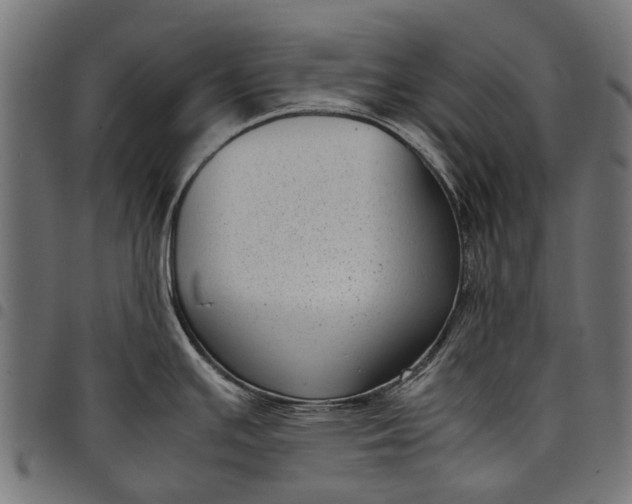 X0000097821391200803281111