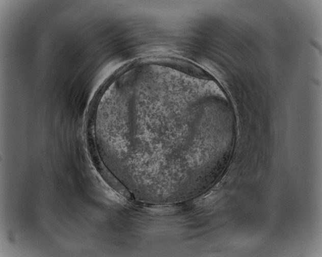 X0000097821392200803281111