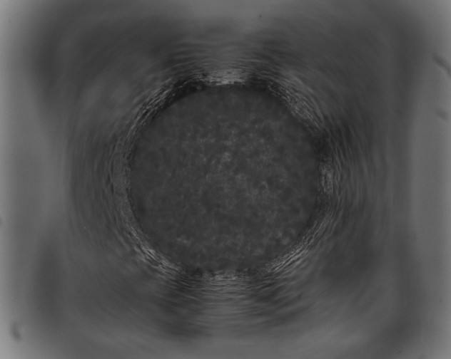 X0000097821393200803281111