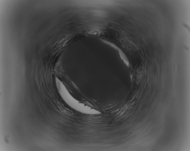 X0000097821394200803281111