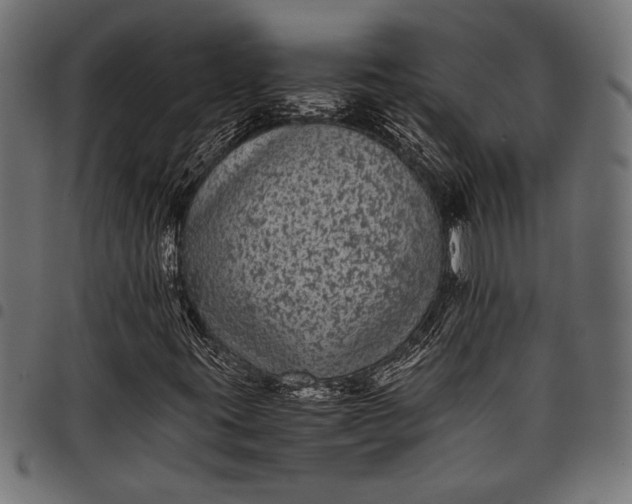 X0000097821395200803281111