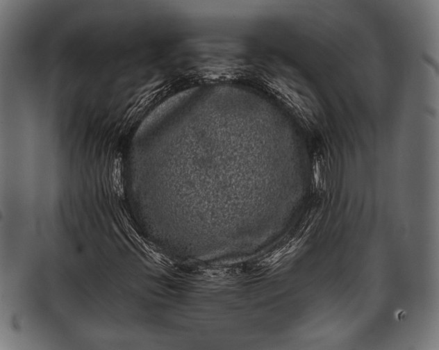 X0000097821396200803281111