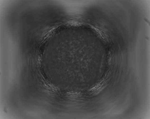 X0000097821397200803281111