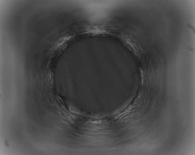 X0000097821398200803281111