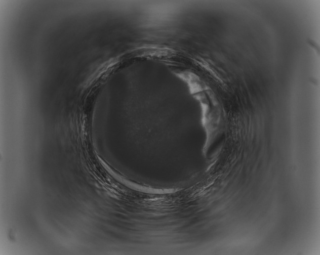 X0000097821399200803281111