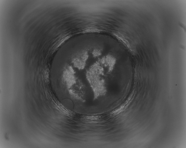 X0000097821401200803281111