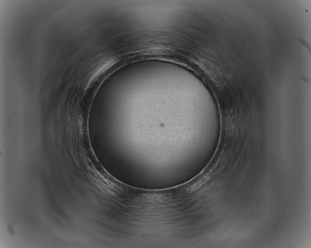 X0000097821402200803281111