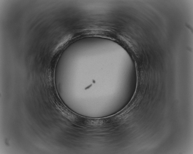 X0000097821403200803281111