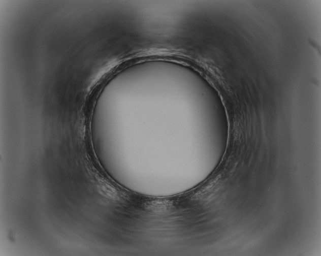 X0000097821406200803281111