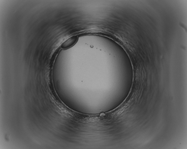 X0000097821410200803281111